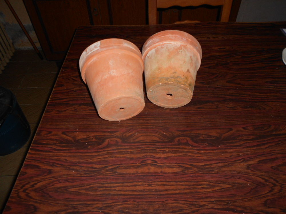 4 POTS EN TERRE CUITE Jardin
