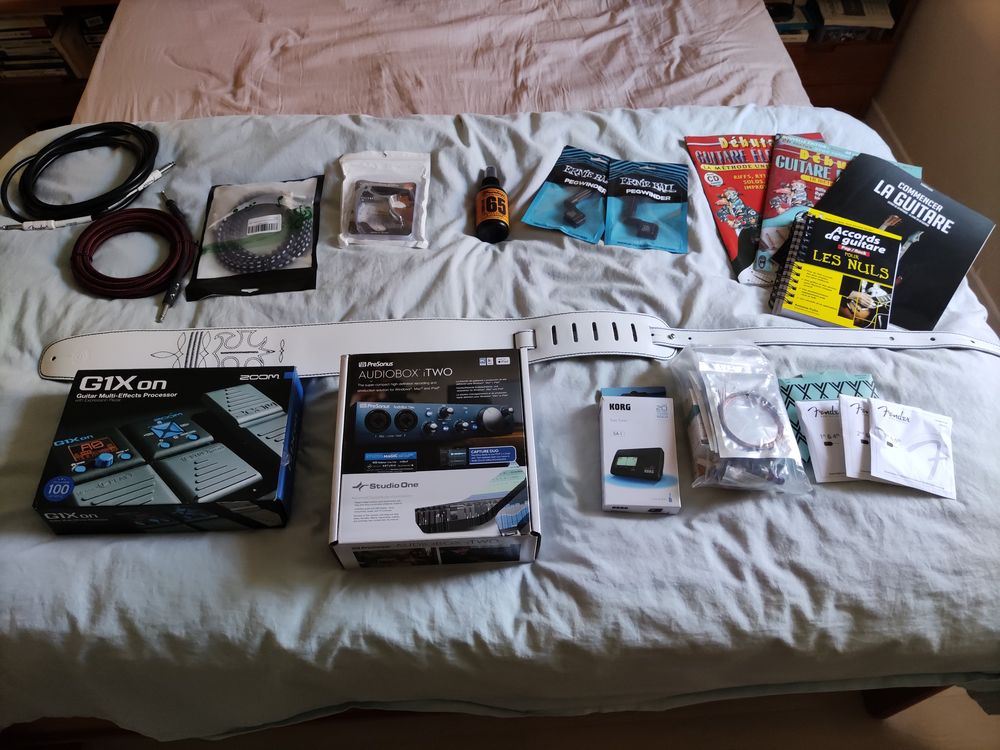 2 guitares &eacute;lectriques Instruments de musique