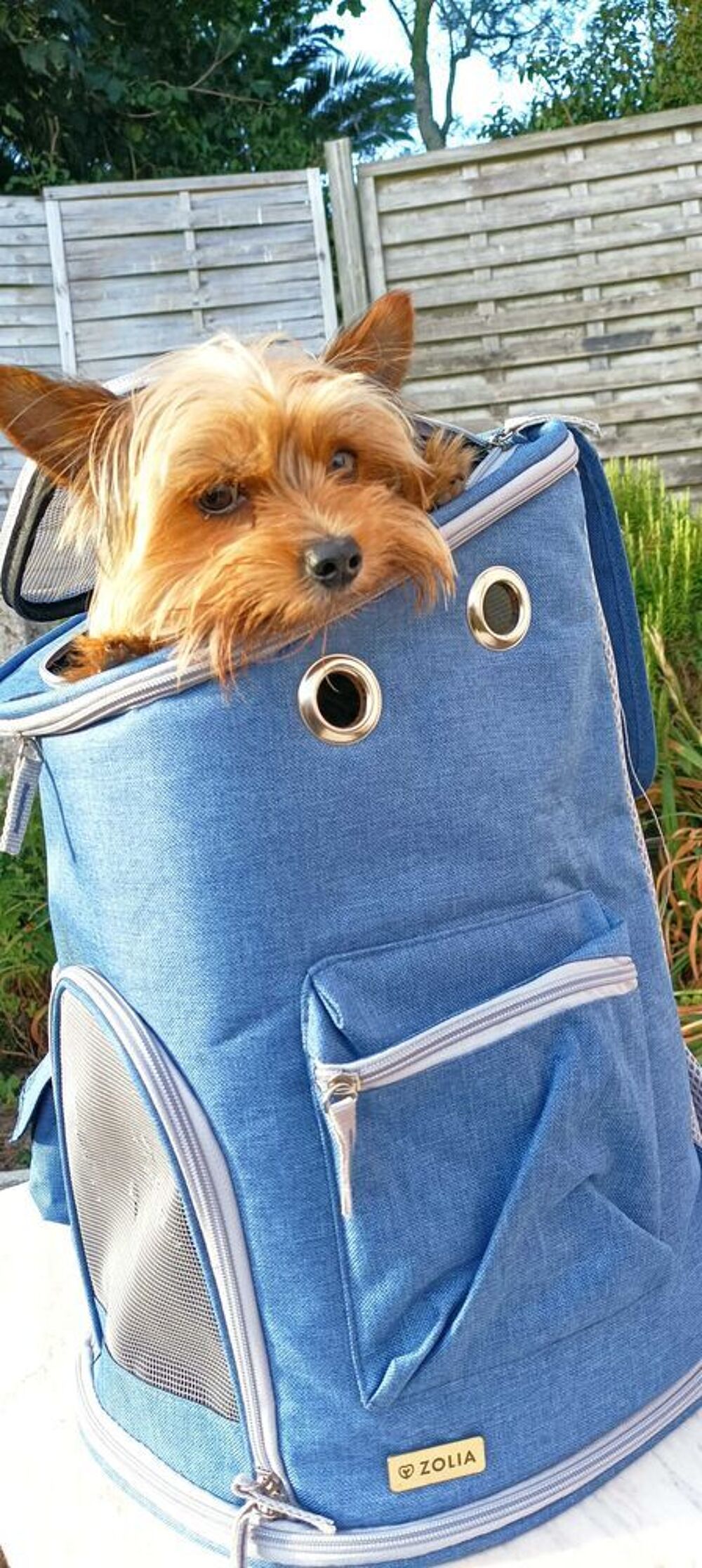 sac &agrave; dos transport petit animal de compagnie Maroquinerie