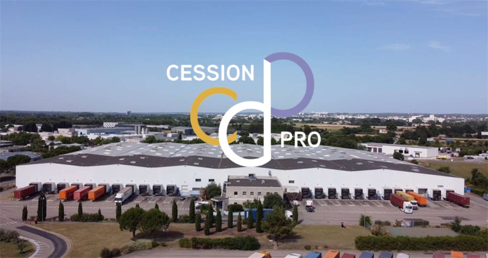   A VENDRE ENSEMBLE IMMOBILIER D'ACTIVITE DE 28000 M² AVEC ENTREPÔTS (+ BUREAUX) DANS LE SUD DE LA FRA 
