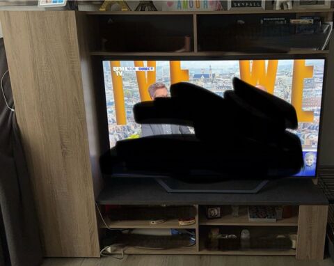 Salle  Manger ( table + buffet) + meuble Tv 460 Le Kremlin-Bictre (94)
