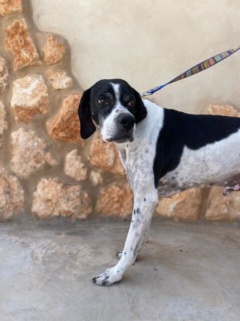 LOLO 300 27620 Gasny