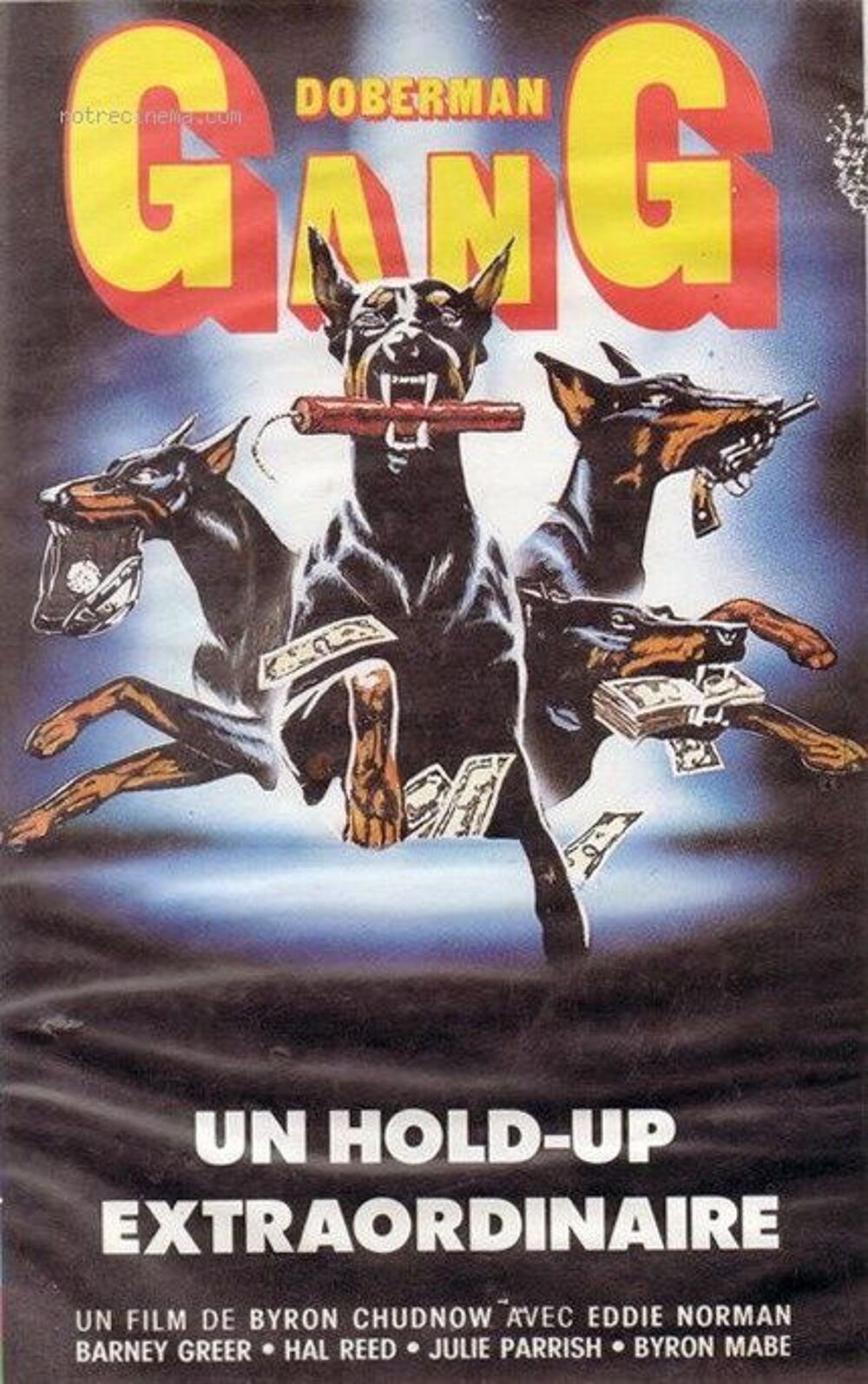 DOBERMAN GANG avec julie parrish DVD et blu-ray