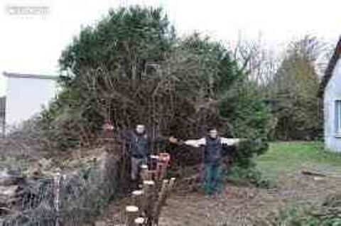 Destructions de haie abattage arrachage évacuation 0 80190 Morchain