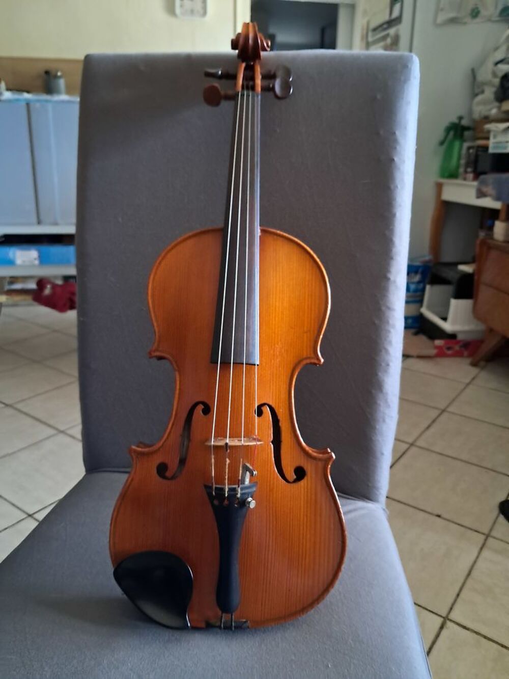 Violon avec archet plus etuit.
Guitare avec housse et pied. Instruments de musique