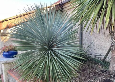 jardinier 0 33000 Bordeaux