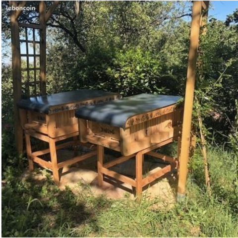 Echange ruche de type Kenyane contre 2 essaims 1 83400 Hy�res