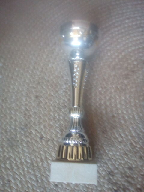 coupe troph�e 5 Beauchamp (95)