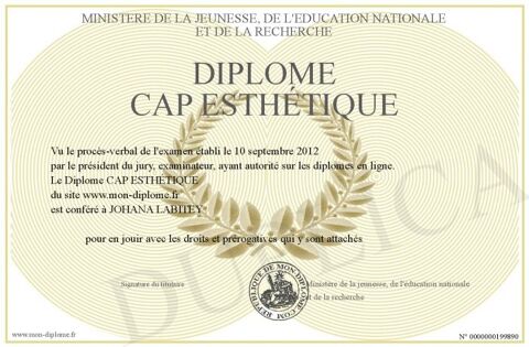 PROFESSEUR DONNE COURS PARTICULIER CAP ESTHETIQUE 0 06270 Villeneuve-loubet