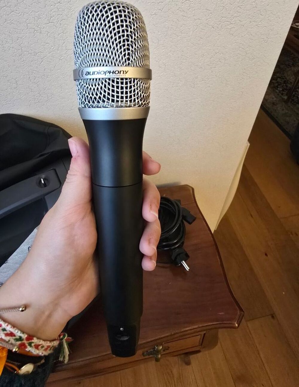 Sonorisation portable + 2 micros Audio et hifi
