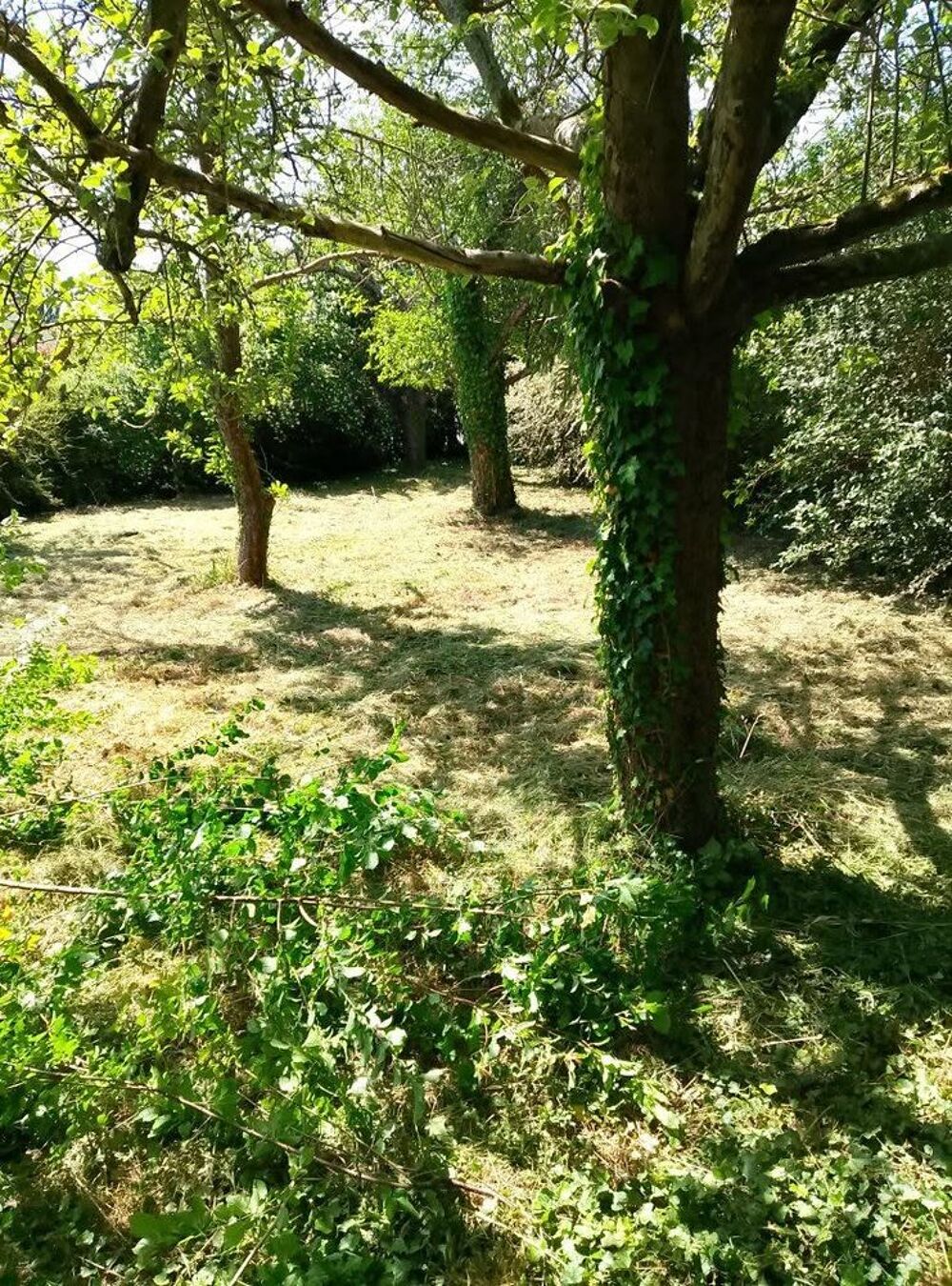 Vente Maison Maison 6 pièces Saint-martin-des-champs