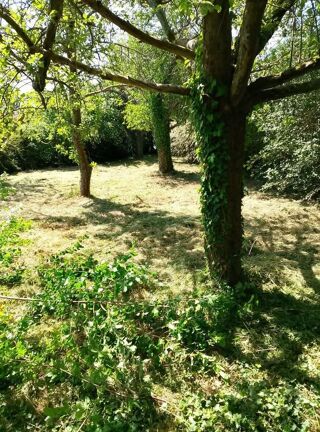  Maison à vendre 6 pièces 143 m²