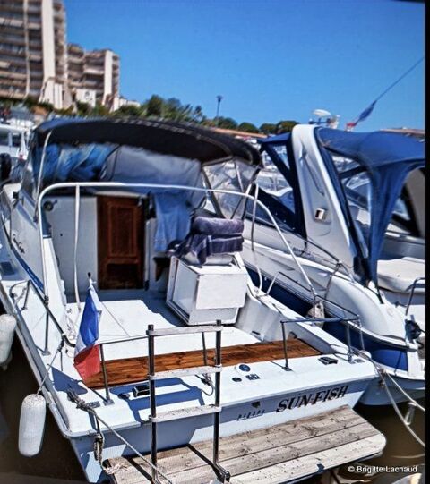 Bateaux &agrave; moteur P&ecirc;che-promenade 1990 occasion Nice 06000