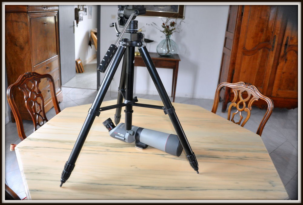 Longue-vue Kowa TSN-823M avec lentilles en fluorite Photos/Video/TV