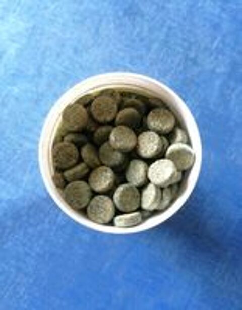   Pastilles vgtales bio 100% pour poissons 