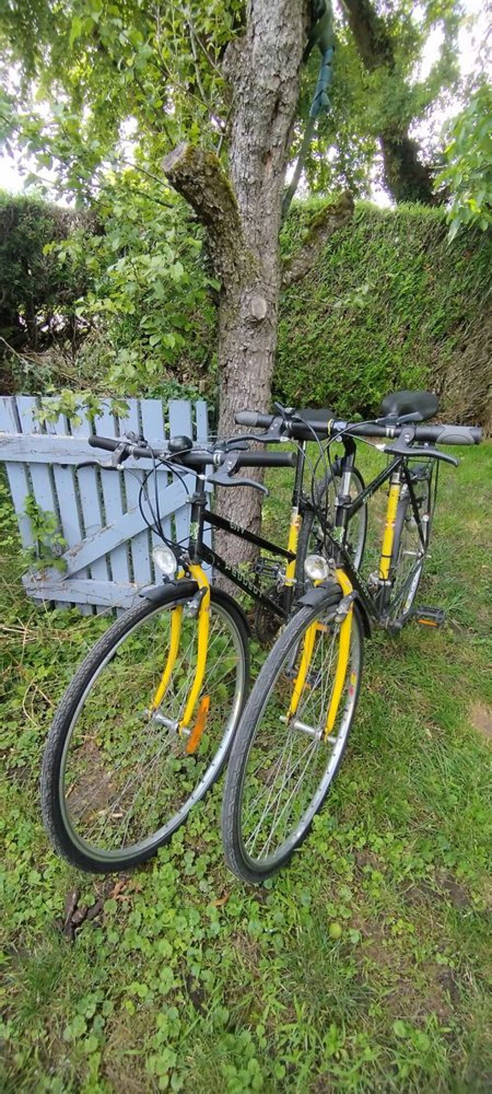 2 V&eacute;los VTC Peugeot homme &amp; femme Vélos