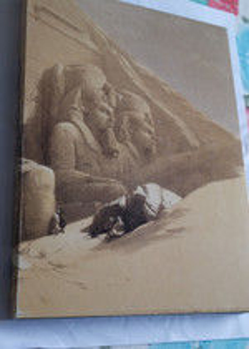 Dessins en Egypte et Nubie de David Roberts Livres et BD