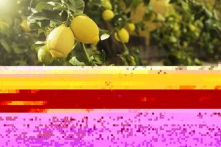  Ferme � vendre 7 pi�ces 16474 m� Rabat