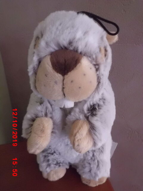 marmotte paco diffusion 12 Oignies (62)