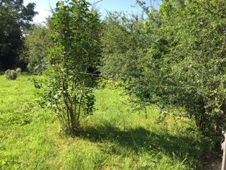  Terrain � vendre 1650 m� Saint-honor�-les-bains