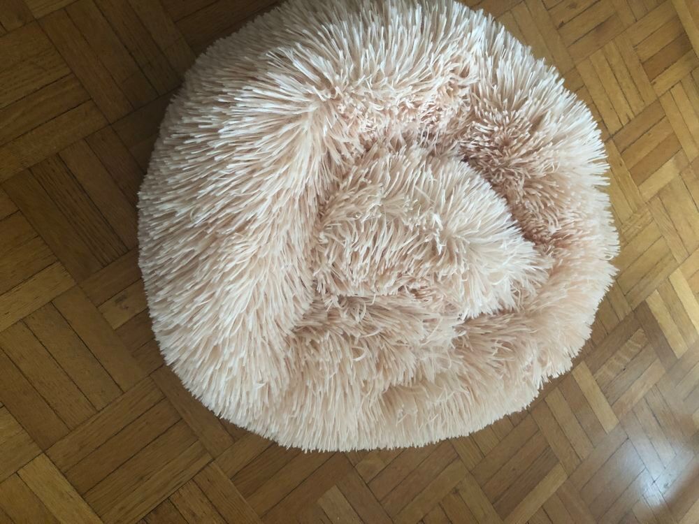 coussin chien Meubles