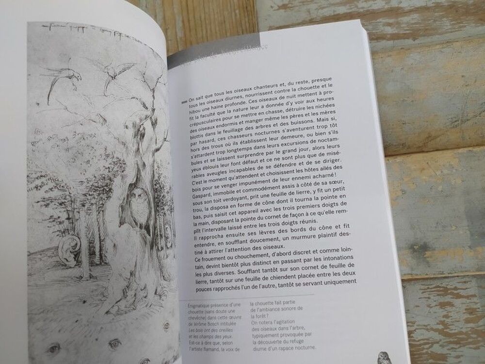 Livre Delachaux Niestl&eacute; Anthologie des Chouettes et Hiboux Livres et BD