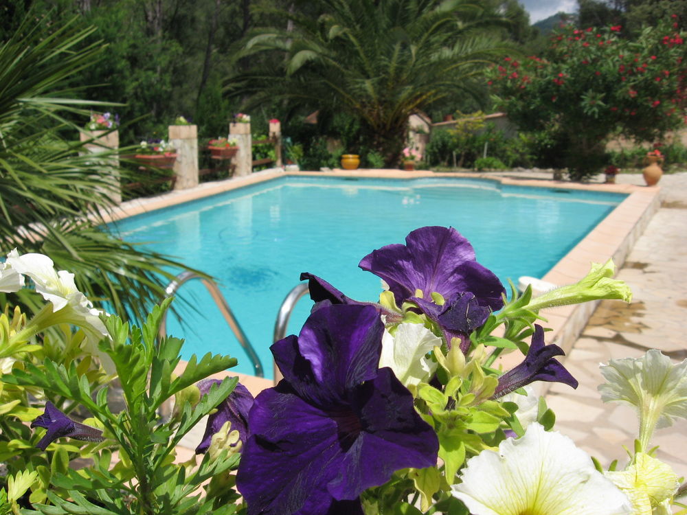   PROMO   VAR 4 PERS PARKING PISCINE CLIM  Provence-Alpes-Côte d'Azur, Toulon (83200)