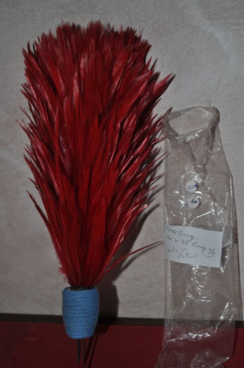 plumet de casque 21 par 28 cm rouge n 32 55 Saint-Germain (10)