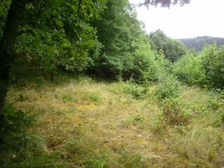  Terrain à vendre 1000 m²