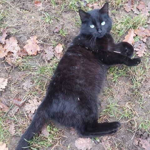 POTTER 180 26600 Tain-l'hermitage