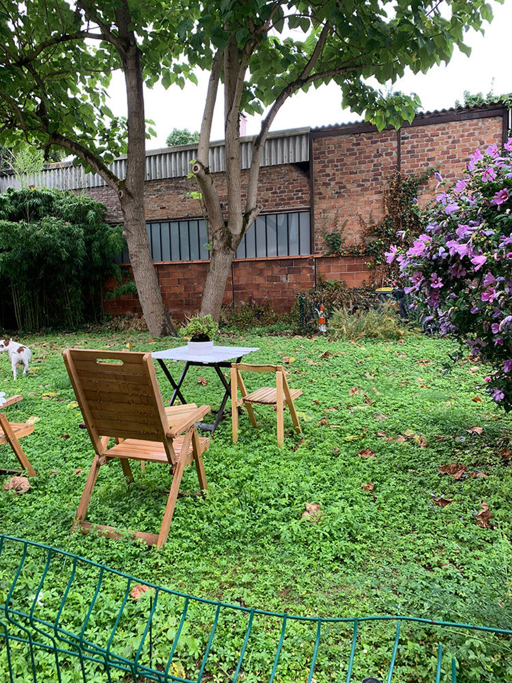 Location Appartement Studio meublé 18 m2 sur jardin Choisy-le-roi