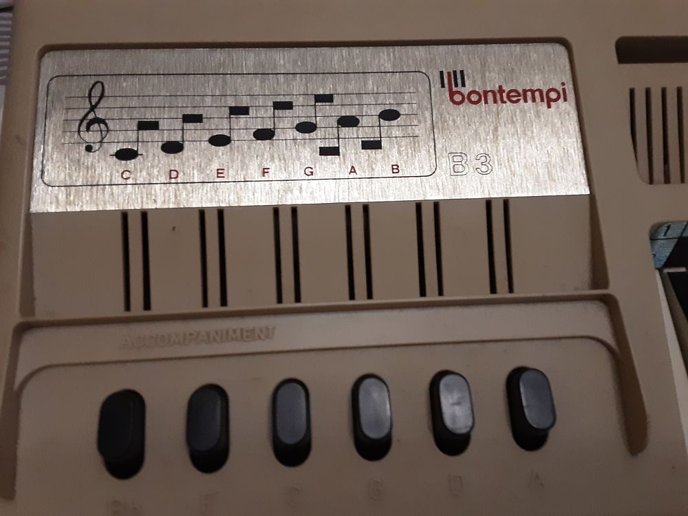 Orgue bontempi Instruments de musique