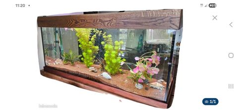 Aquarium 240 litres avec habillage bois et &eacute;clairage 150 