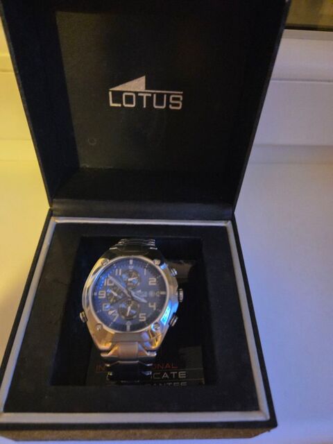 Montre 80 Halluin (59)