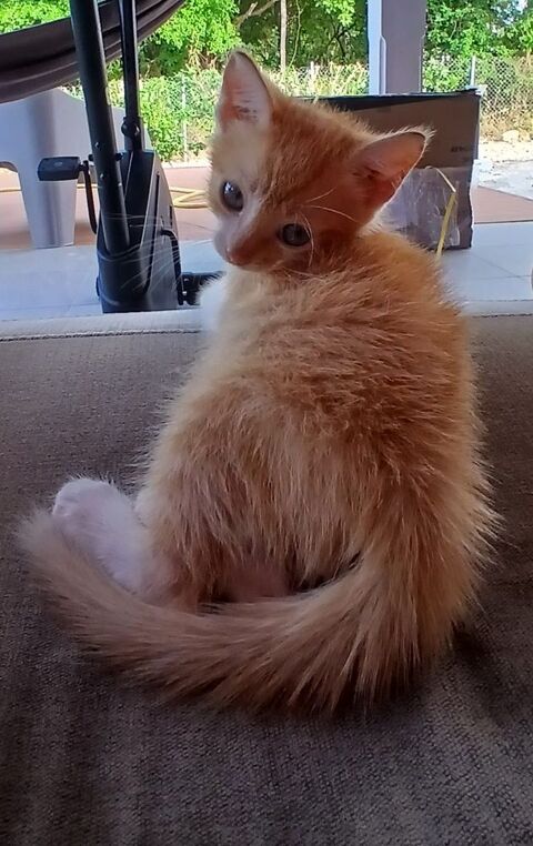 DOUDOU 0 75018 Paris