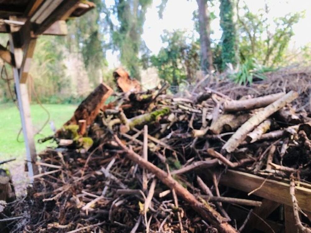 BOIS DE CHAUFFAGE Jardin