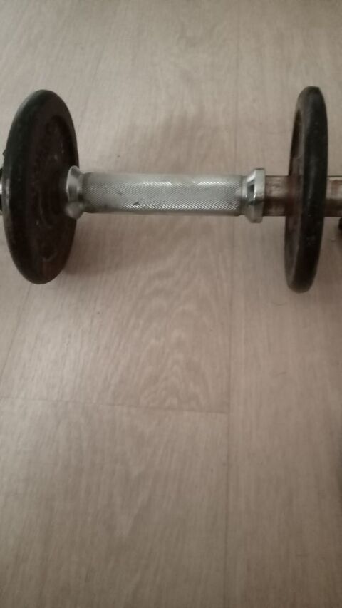 HAlter capacit 18kg;de  Musculation vendu avec +8poids=10kg 20 Commentry (03)