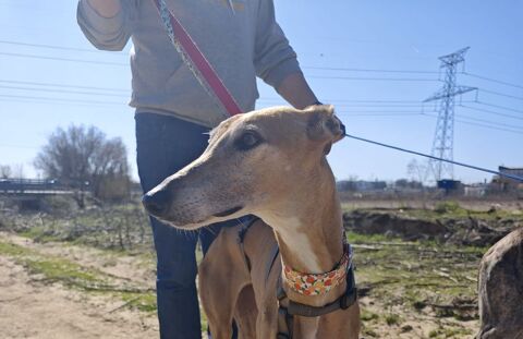 BELEN🩷un c�ur tendre qui ne demande qu'&agrave; s'ouvrir 315 24140 Douville