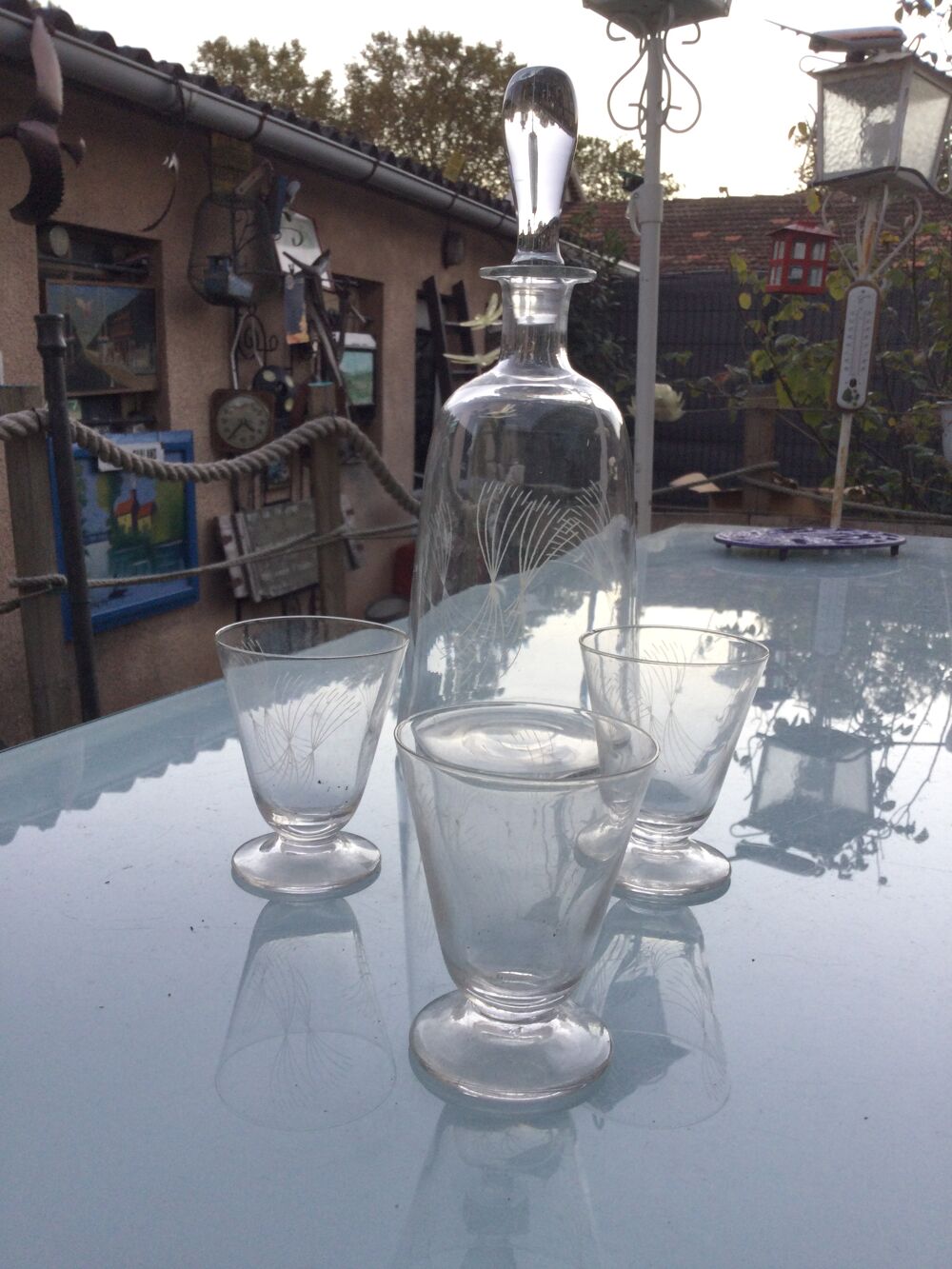 Service 24 verres et sa carafe Cuisine