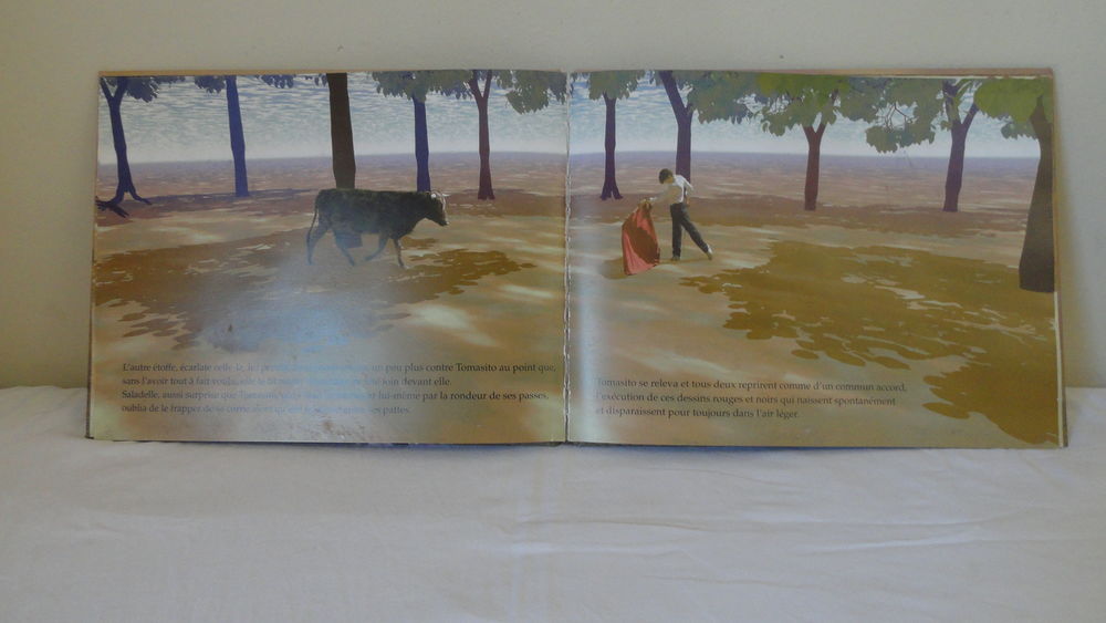 Livre : Tomasito et saladelle Livres et BD