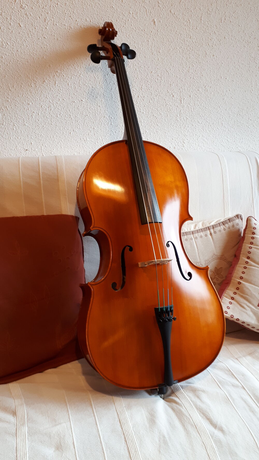 Violoncelle 3/4 Instruments de musique