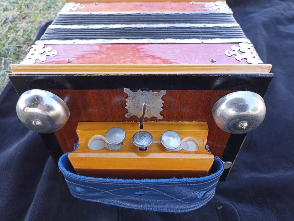 accordeon diatonique &agrave; clochettes de Saratov Instruments de musique