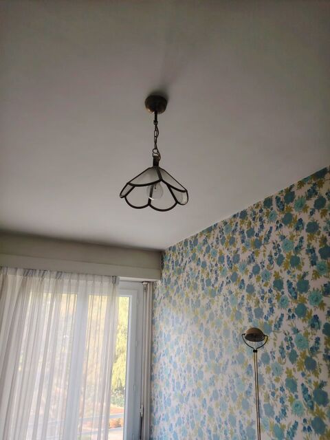 Plafonnier noir fleurs 5 Divonne-les-Bains (01)