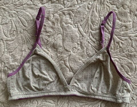 Soutien gorge gris et violet 3 Rennes (35)