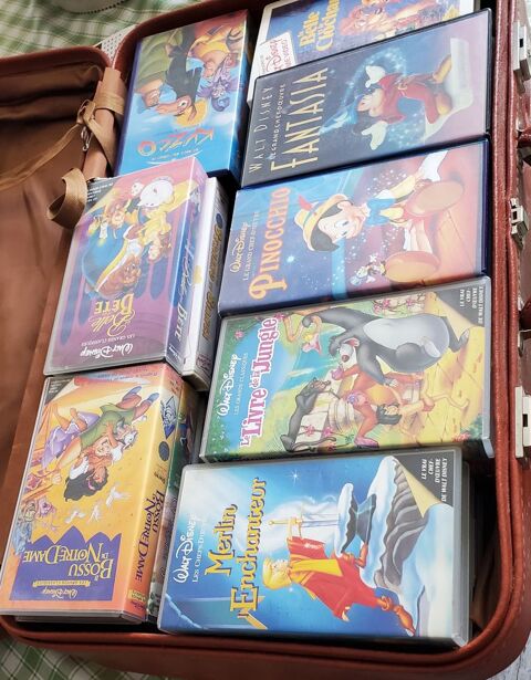 Lot de 30 VHS Disney Dijon (21)