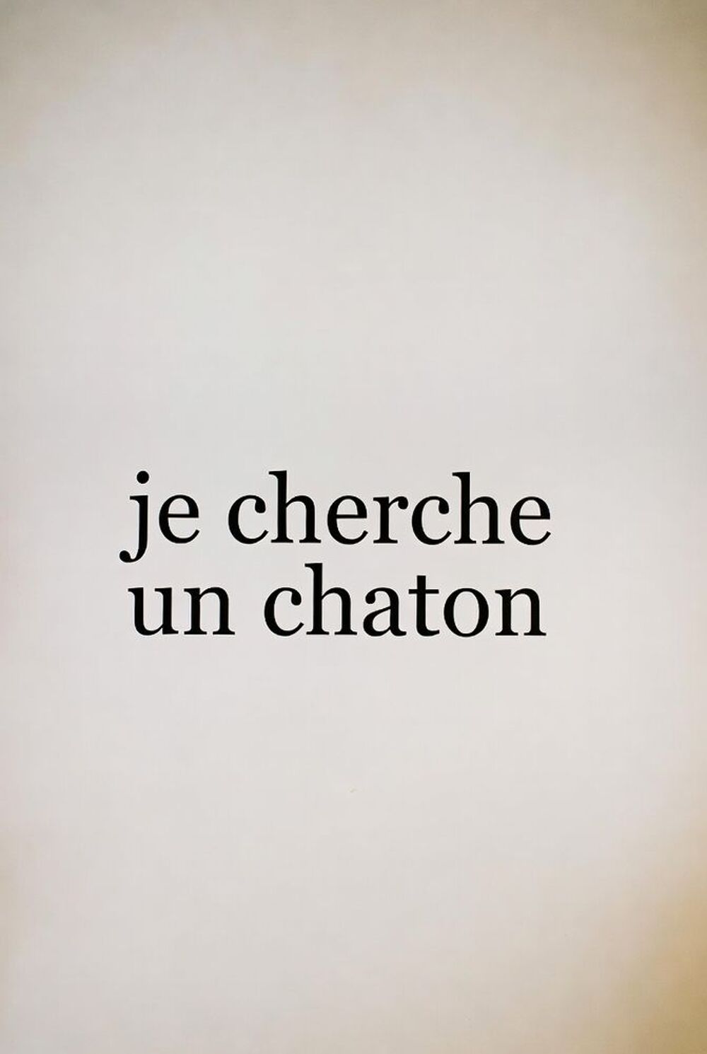   À la recherche d'un chaton (lire texte en bas svp !) 