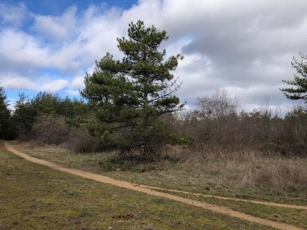 Vente Terrain AUX PORTES SUD DE DIJON TERRAIN LANDES BOIS SUR 1 HA 68 Dijon