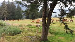  Appartement � vendre 2 pi�ces 26 m�