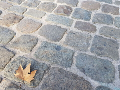 Pav�s de Lyon 15x15x15 cm 82 M�ry (73)