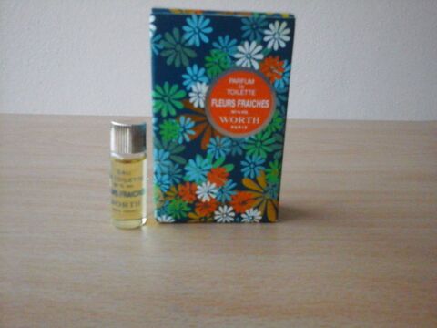 MINIATURES DE PARFUM 5 Trouy (18)